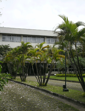 Bento Branco de Andrade Filho (V.V.D. Pallas)