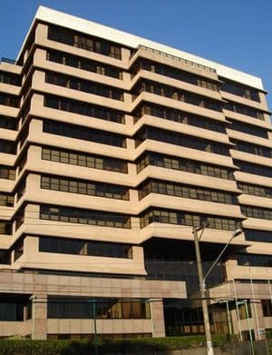 Herbert Levy - Birmann 9