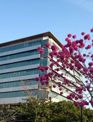 Mário Henrique Simonsen - Bloco 7