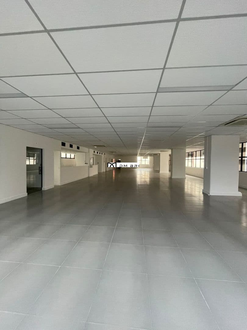 principal
