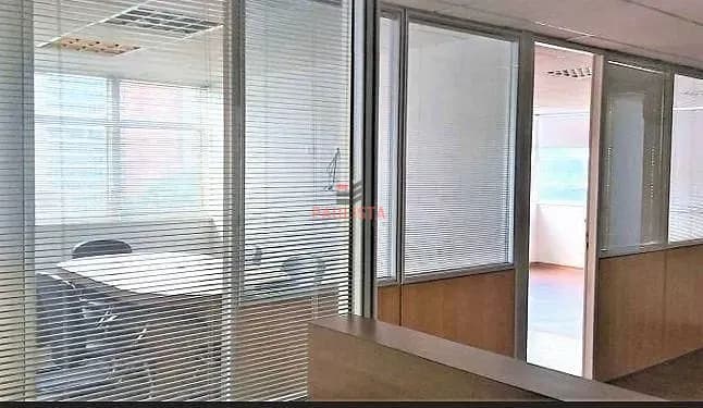 principal